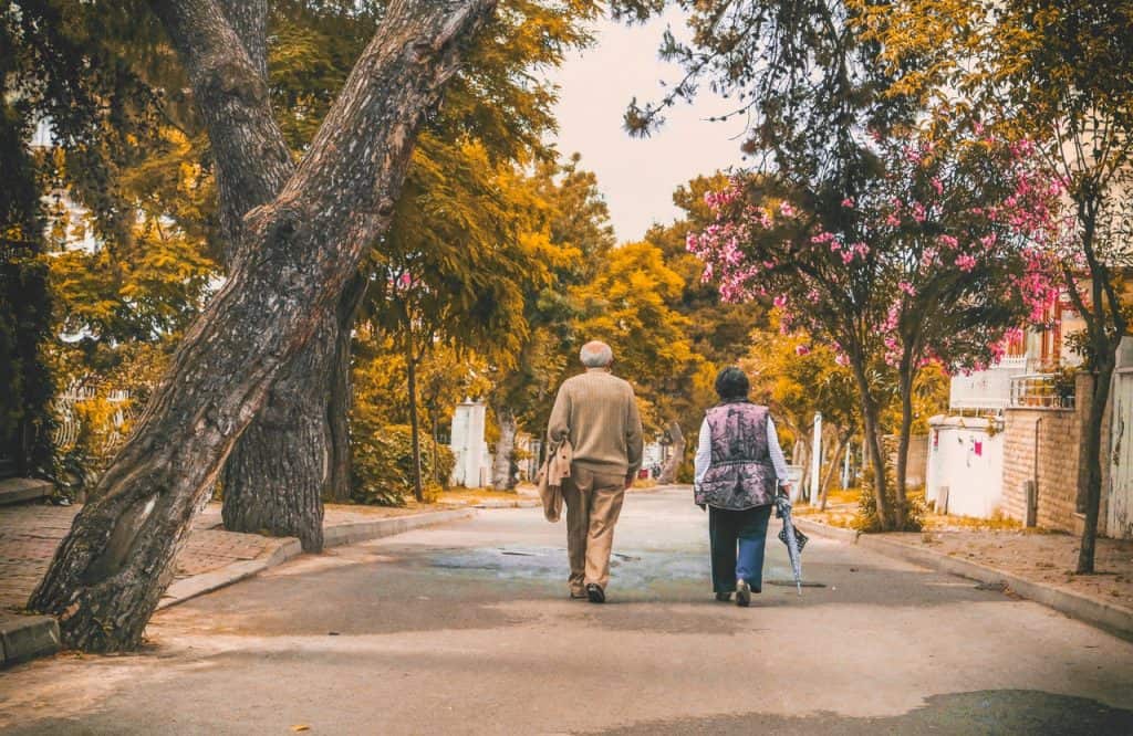 Joint ISPAH-JPAH Webinar: “The Physical Activity Policy to Practice Disconnect” 