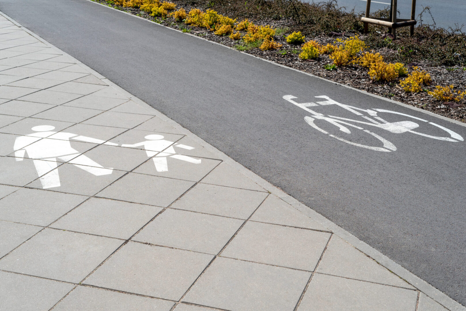 Roadmarking, pedestrian and bicycle signs on the road. sidewalk for pedestrians and cyclists on asphalt surface in the park. no people.