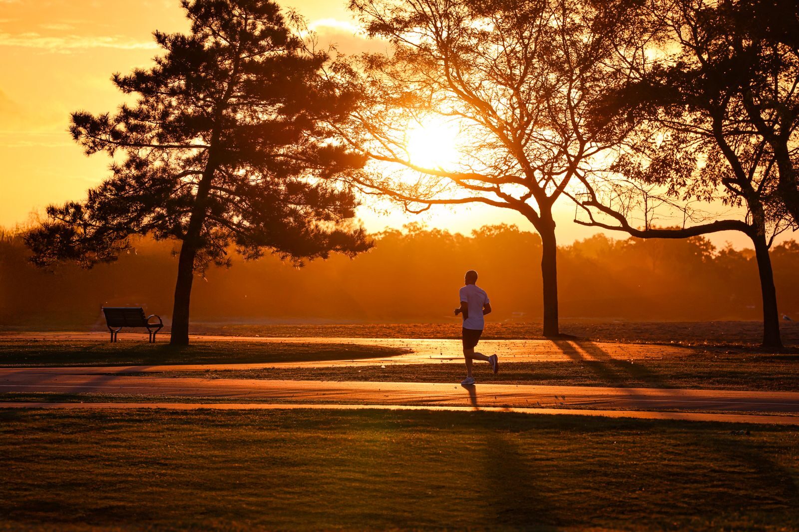 Moving for the Planet: Physical Activity and the Environment