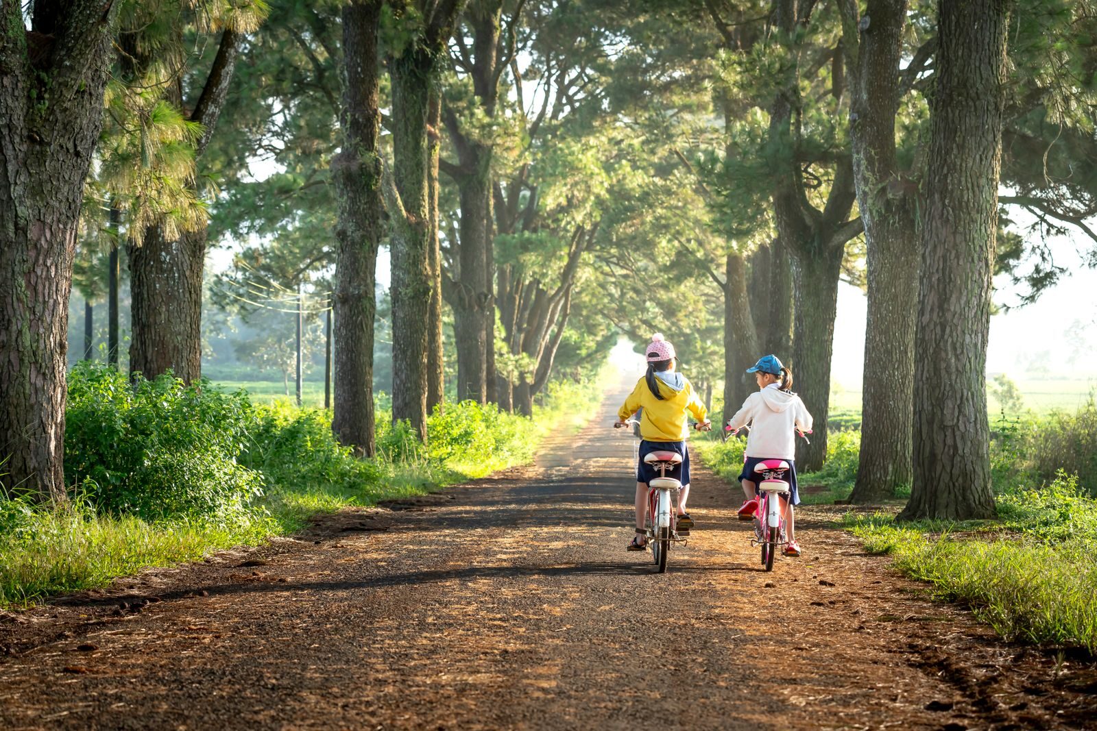Back view of distant anonymous children riding bikes on rural road between tall trees on grassy ground in suburb area of countryside